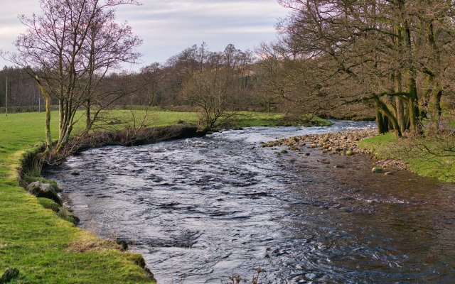 A fast flower river