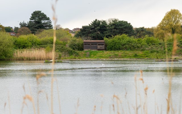 Hogsmill Nature Reserve