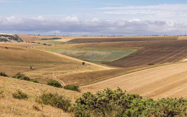 Dry fields