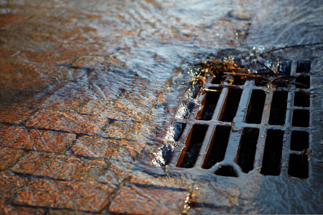 Drain with water