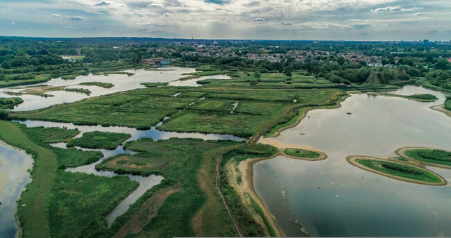 Aerial view of wetlands in London