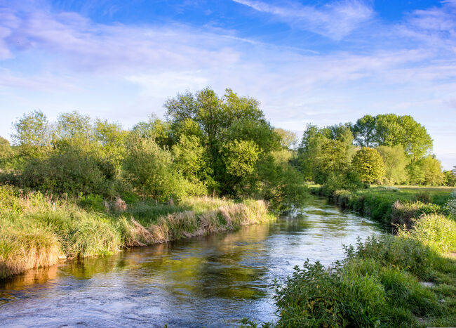 A river flowing through countryside on a sunny day