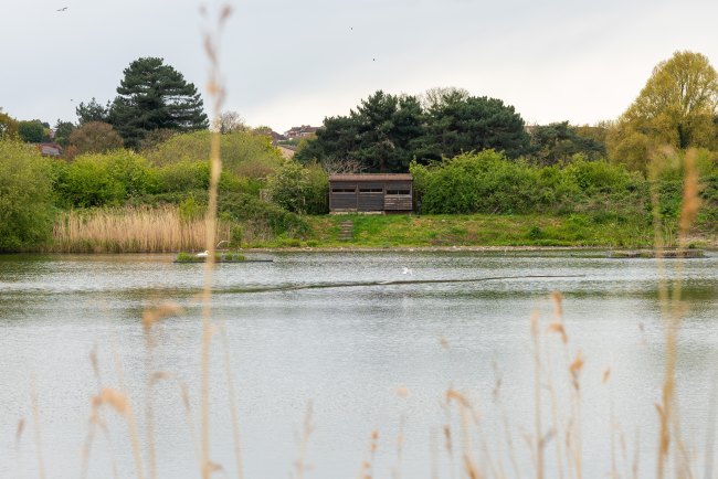 Hogsmill Nature Reserve